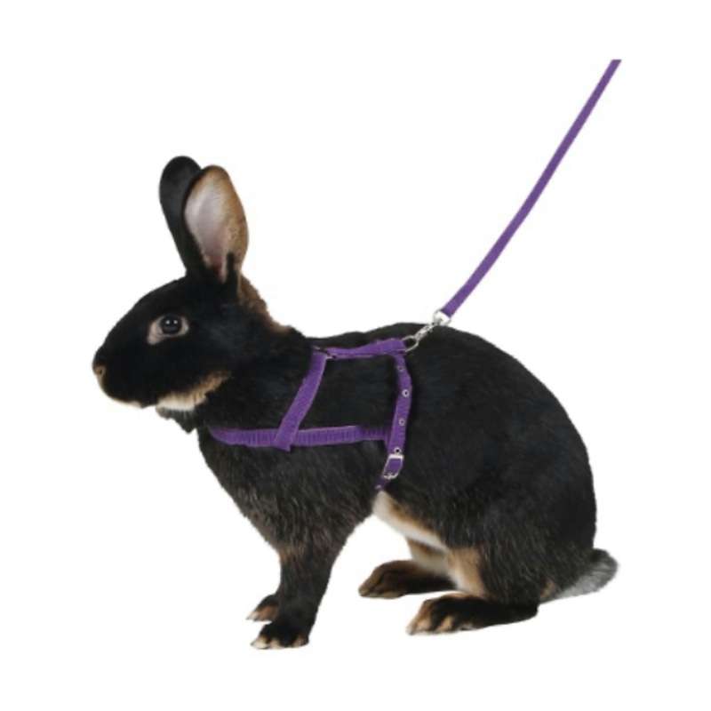 قلاده کتفی خرگوش همراه با لید Kerbl Shoulder Harness Agility with Leash